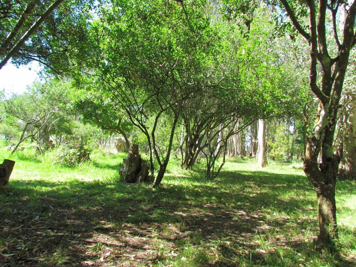 La Posta De La Laguna La Paloma Dış mekan fotoğraf